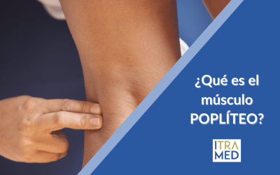 ¿Qué es el músculo poplíteo?